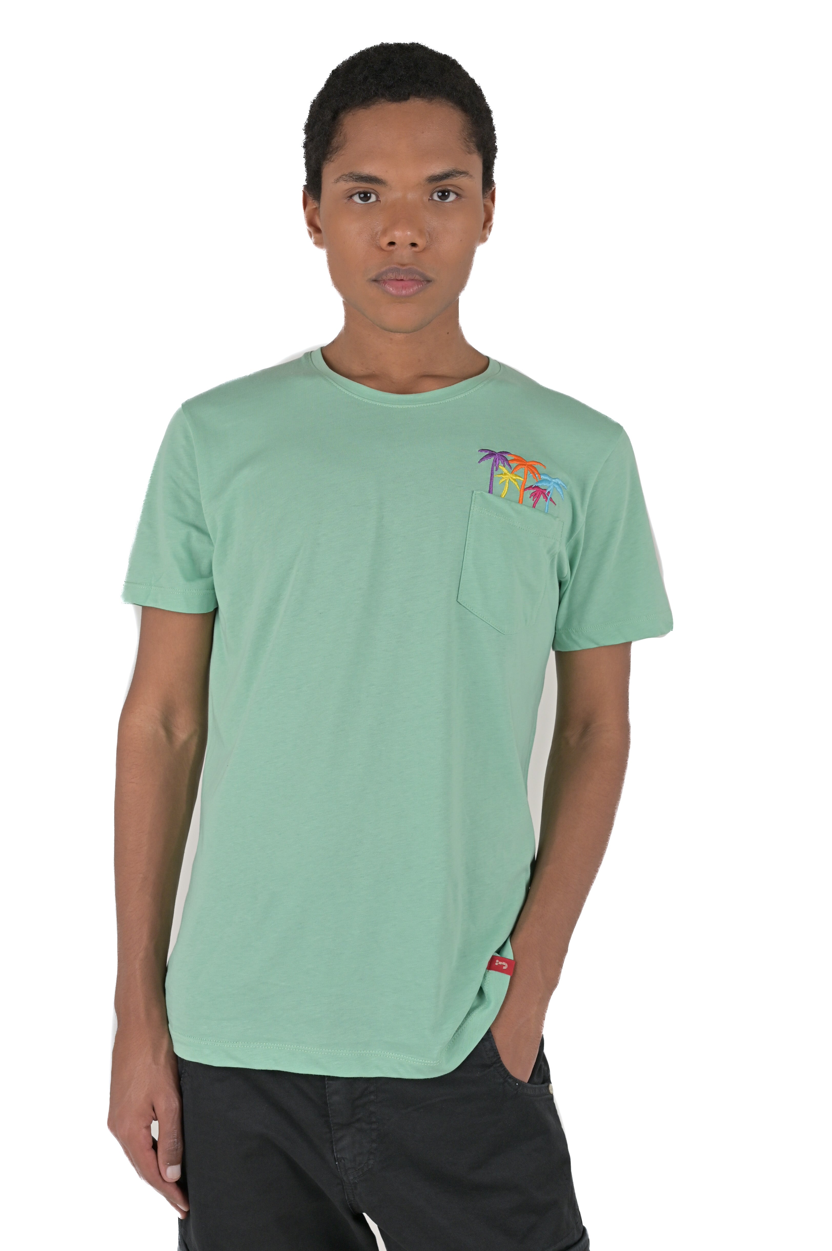 Regular T-Shirt DPE 2416 water green SS24