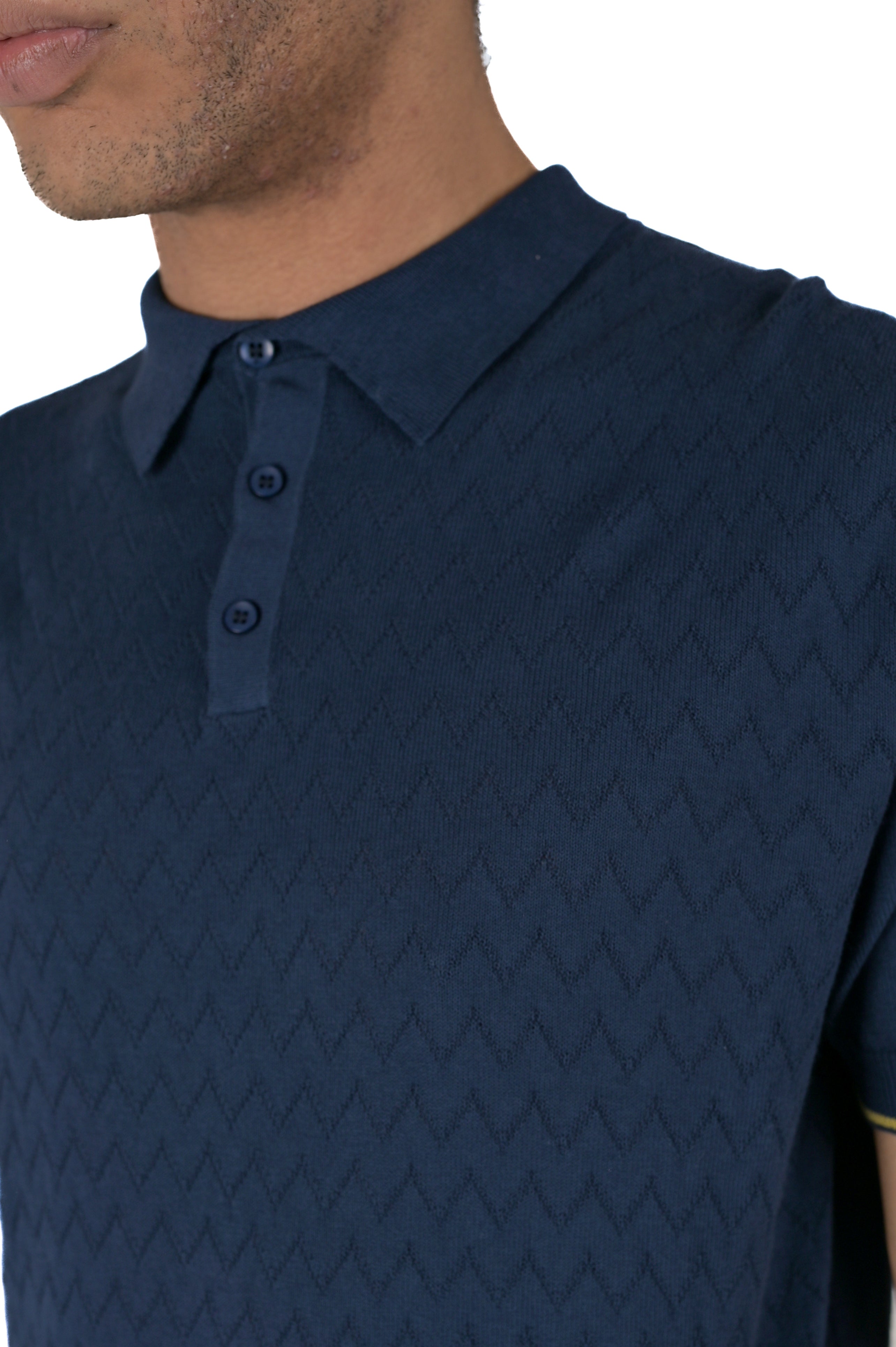 DS 2477 Blue Regular Polo SS24